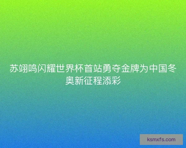 苏翊鸣闪耀世界杯首站勇夺金牌为中国冬奥新征程添彩 苏翊鸣闪耀世界杯首站勇夺金牌为中国冬奥新征程添彩