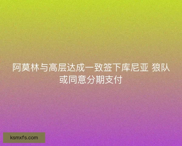 阿莫林与高层达成一致签下库尼亚 狼队或同意分期支付